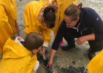 P3 - Dia 3 (PI): Taller de marisqueo y regreso a casa