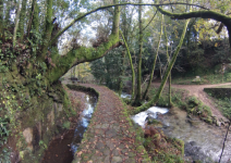 P5 - Dia 5 (PI): Senderismo y regreso a casa