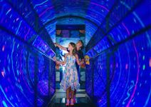 Museum Of Senses (Museo de los Sentidos) - PRIMARIA