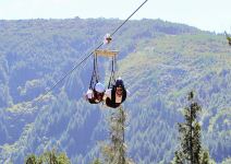 P4 - (PA) Dia 4: Actividades y regreso a casa