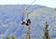 P4 - (PA) Dia 4: Actividades y regreso a casa