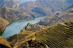 Viaje fin de curso Multiaventura en el Norte de Portugal