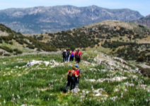 P7- Día 1: Viaje y Visita a elegir