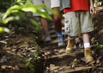 P7- Día 5:  Escalada y Team building