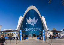 P5 - Día 1: Viaje a Castellón con Visita a la Ciudad de las Artes y las Ciencias