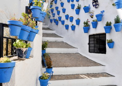 Patios de Córdoba