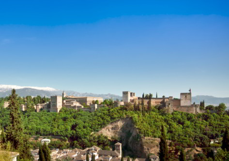 Paisaje de granada