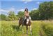 Chica en un caballo en su viaje de estudiantes a Medina del Campo