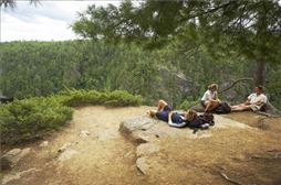 Excursión de senderismo en la Sierra norte de Madrid